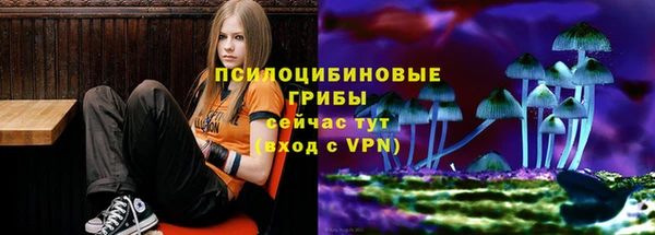 MDMA Premium VHQ Бронницы