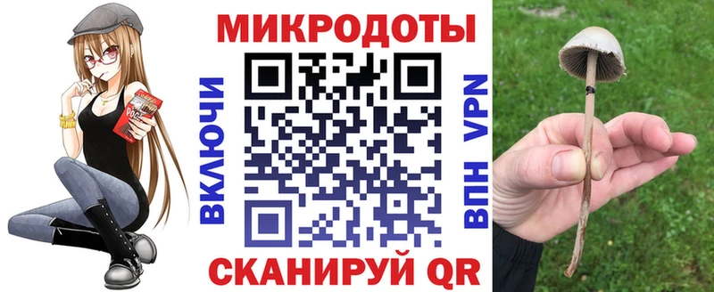 площадка телеграм  Вилюйск  Псилоцибиновые грибы Magic Shrooms 